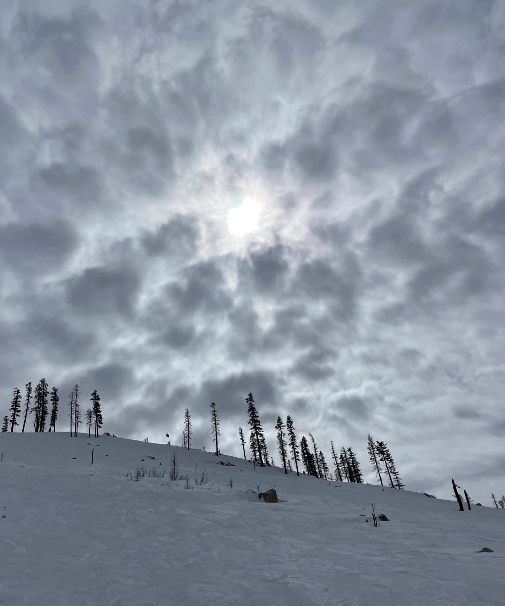 Your Attitude Determines your Altitude